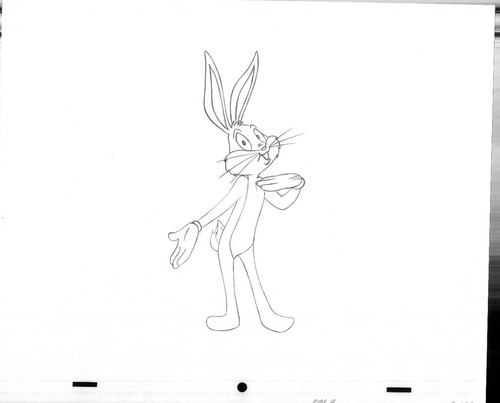 Warner bros kaninchen - warner,