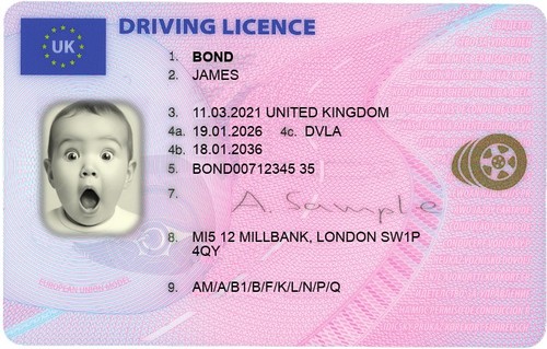 Anpassbarer führerschein - anpassbarer, uk